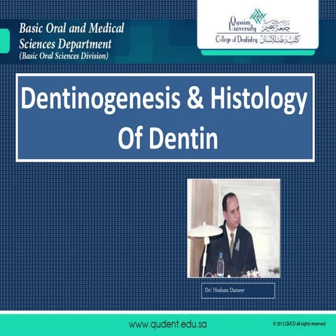 Dentinogenesis & histology of dentin