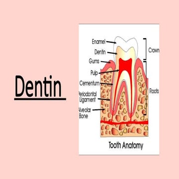 Dentin Seminar dadh opath (Pedo) copy.pptx