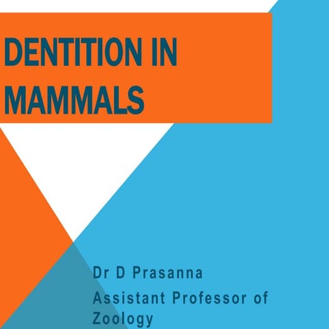 Dentition in Mammals