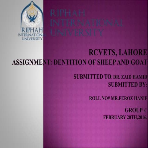 Dentition of sheep and goat