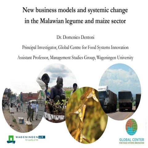 New business models and systemic change in the Malawian maize and legume sector