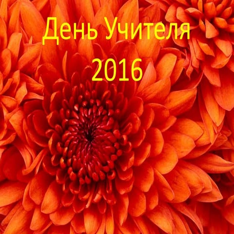 Den uchitelya 2016