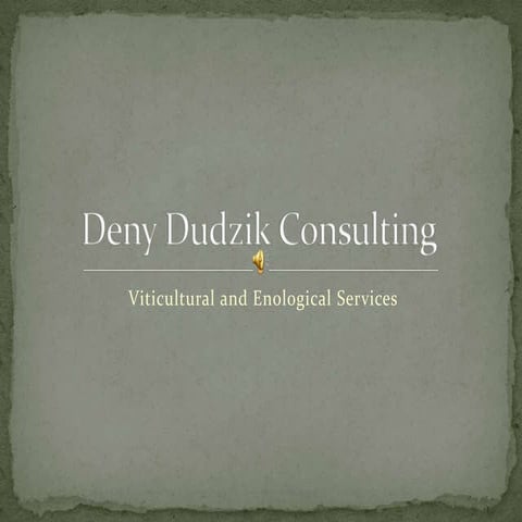 Deny Dudzik Consulting