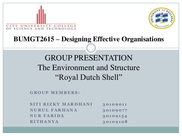 The Environment And Structure Royal Dutch Shell Pany