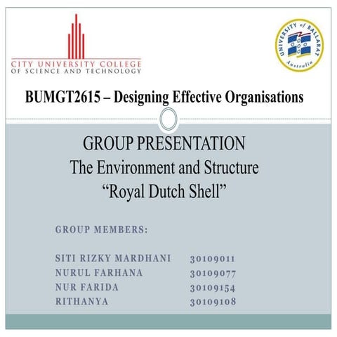 THE ENVIRONMENT AND STRUCTURE - ROYAL DUTCH  SHELL COMPANY