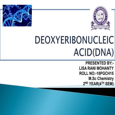 Deoxyeribonucleic acid(DNA)