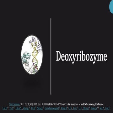 Deoxyribozymes