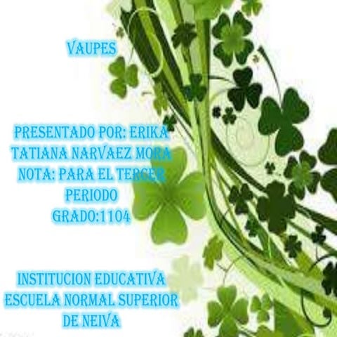 Deparatamento del vaupes (erika narvaez 1104)