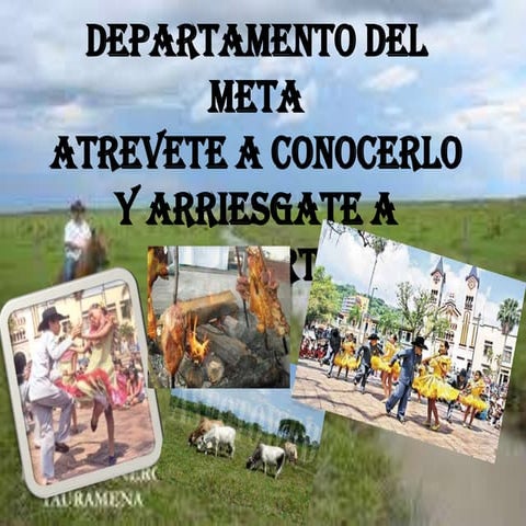 Departamento del meta