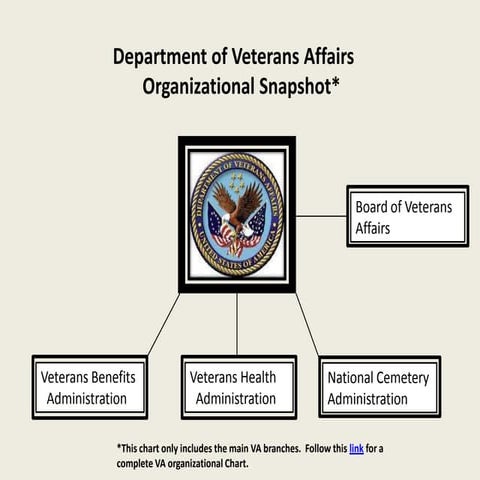 PVAO Veterans Hospitalization Program Primer | PDF