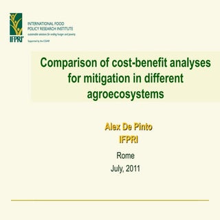 De pinto a cost benefit analyses fo...