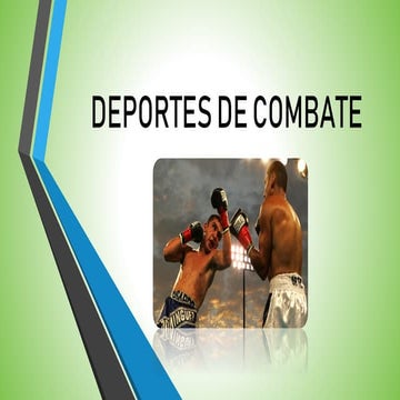 Deportes de combate