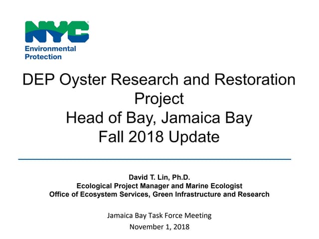 NYC Dep oyster reef update regarding head of bay oyster project