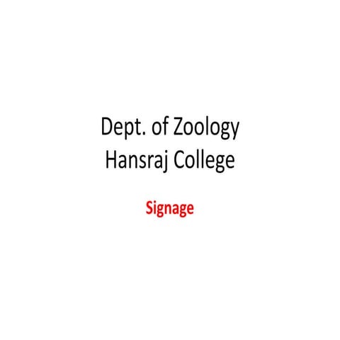 Dept. of Zoology.pptx