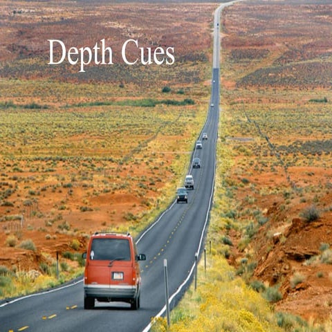 Depth cues