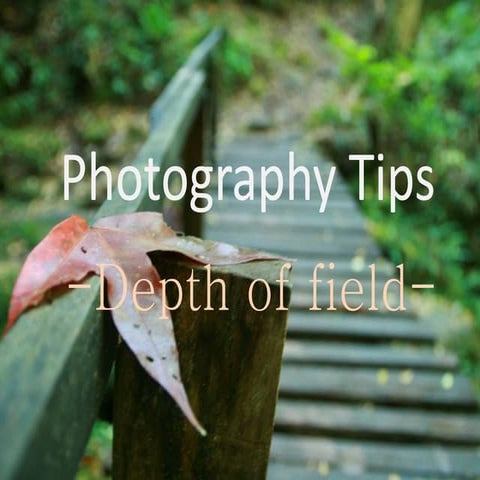Depth of field