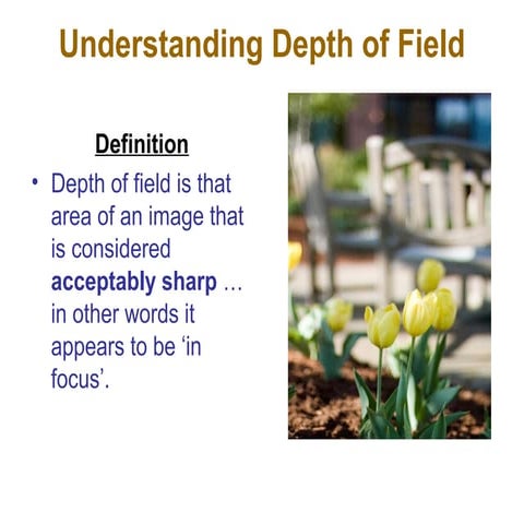 Depth of field