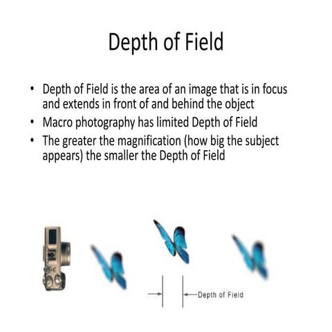 Depth of field 