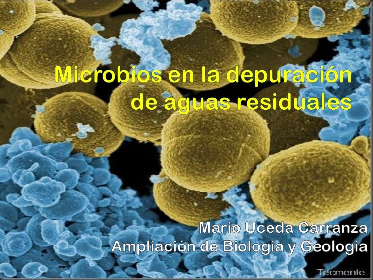 Depuracion De Agua Residual