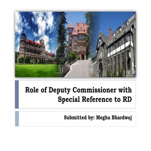 Deputy commissioner