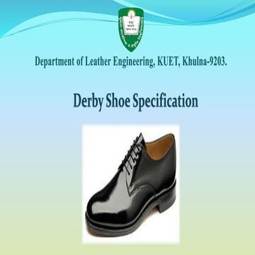 Derby shoe
