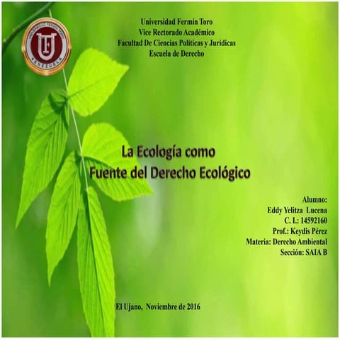 Derecho ambiental como fuente