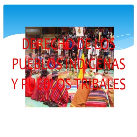 Derecho de los pueblos indigenas y pueblos tribales | PPTX