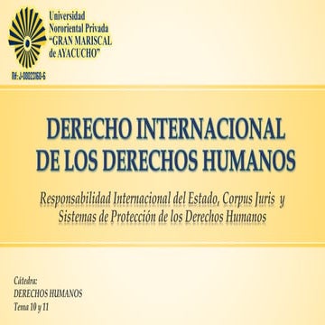 Derecho Internacional de los Derechos Humanos | PPTX