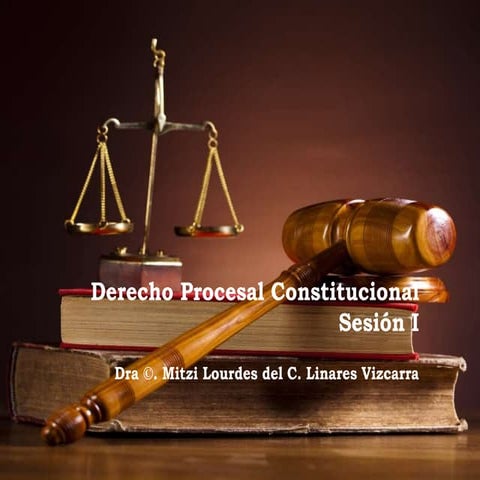 Derecho procesal constitucional