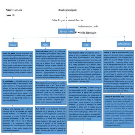Derecho procesal penal LUIS LEMA 5-E.pdf