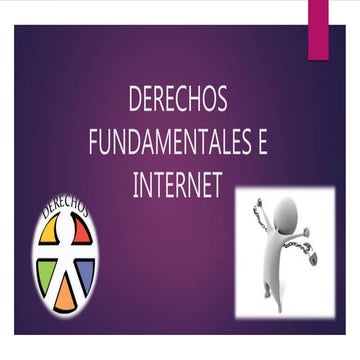 Derechos fundamentales-e-internet