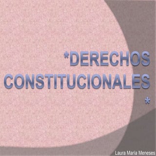 Derechos Constitucionales