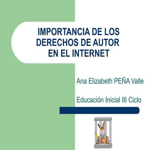 Derechos de autor_e_internet