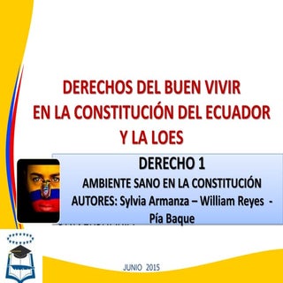 Derechos en la constitución ambient...