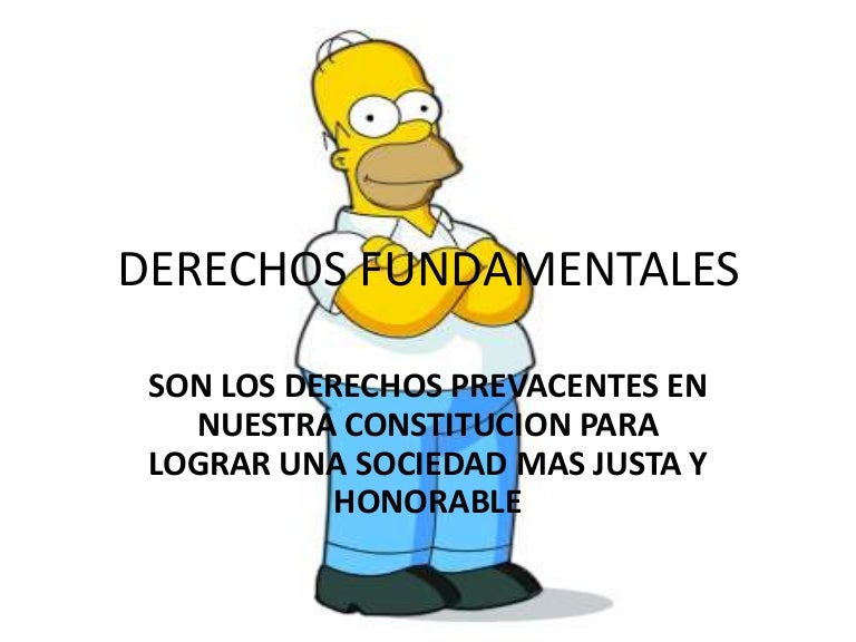 derechos fundamentales derechos fundamentales
