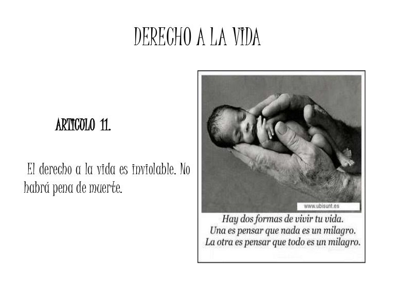 Derechos Fundamentales De La Constitucion Politica De Colombia