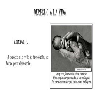 Derechos fundamentales de la consti...