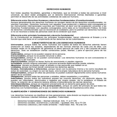 Los derechos humanos y los mecanismos de defensa | DOCX