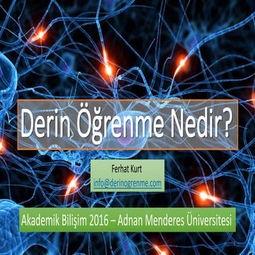 Derin Öğrenme Nedir? - Akademik Bilişim 2016 Sunumu