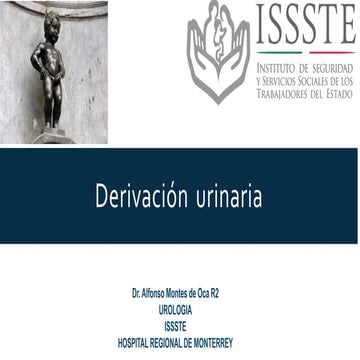 Derivaciones urinarias continuacion