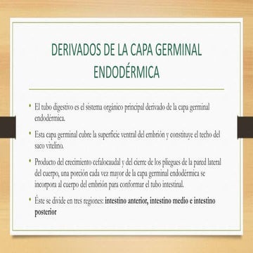 DERIVADOS_DE_LA_CAPA_GERMINAL_ENDODeRMICA.pptx