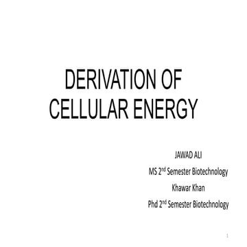Derivation of cellular energy