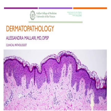 derma ppt marked.pdf it's is good yo learn | PDF