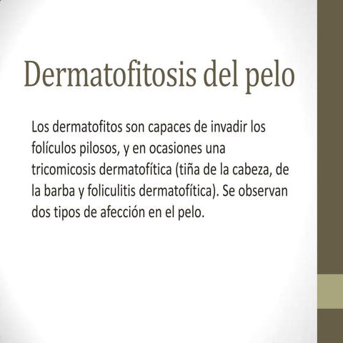 Dermatofitosis del pelo