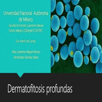 Dermatofitosis profundas