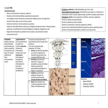 Dermatología para Dummies CORREGIDO - Mónica Rueda Vega.pdf