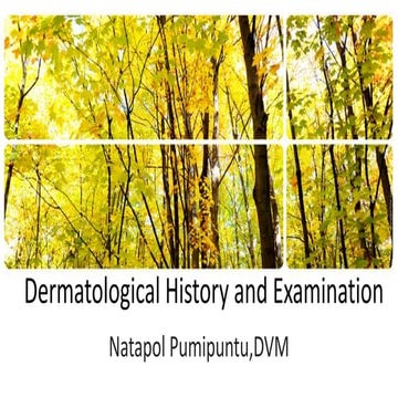 Dermatological history and examination