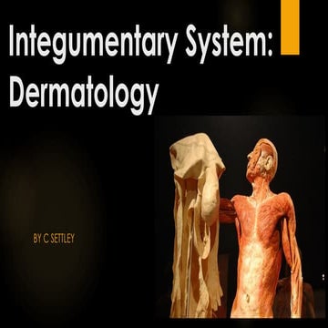 Dermatology