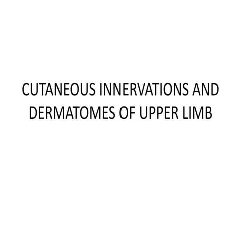 dermatomes and development of limbs copy.pptx