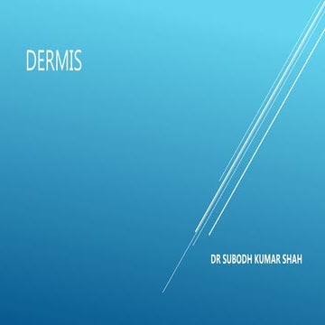 Dermis 